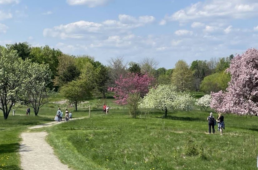 Viles Arboretum, United States